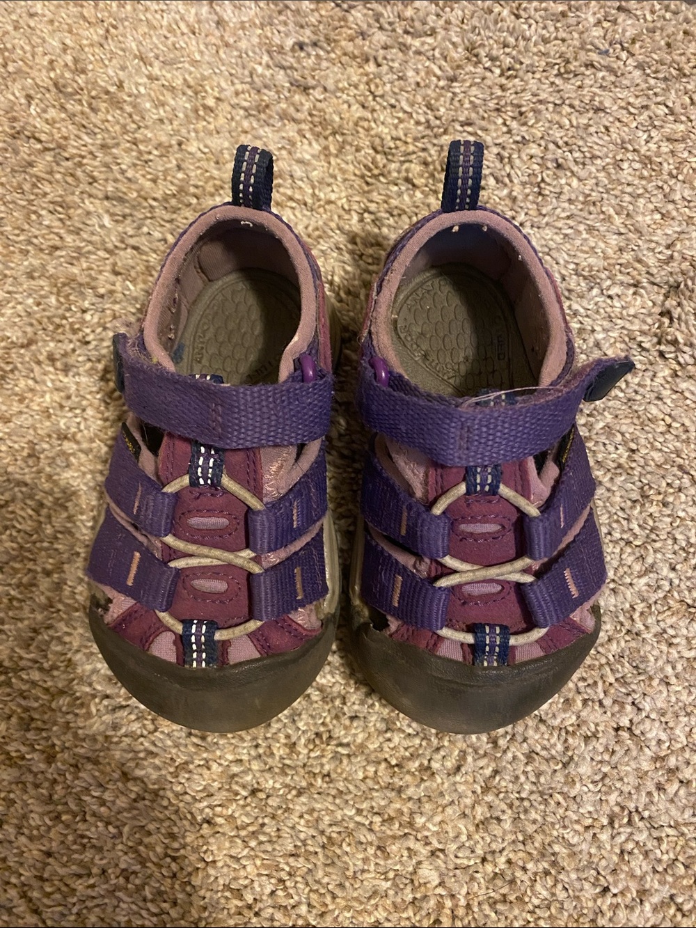 Purple Keen Toddler Shoes